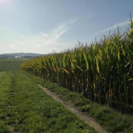 With Garden Altenfeld (Thuringia)
