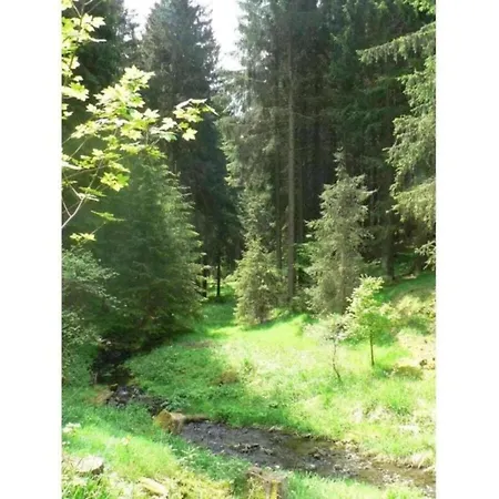 Tatil Evi With Garden Altenfeld (Thuringia)