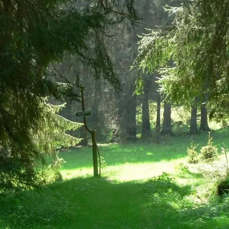 With Garden Tatil Evi Altenfeld (Thuringia)