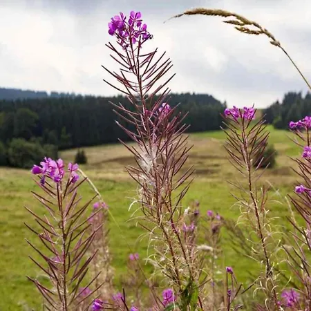 With Terrace Altenfeld (Thuringia)