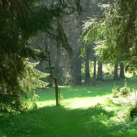With Terrace Σπίτι διακοπών Altenfeld (Thuringia)