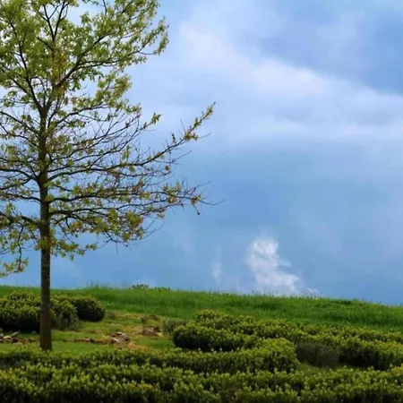 Casa vacanze With Terrace Altenfeld (Thuringia)