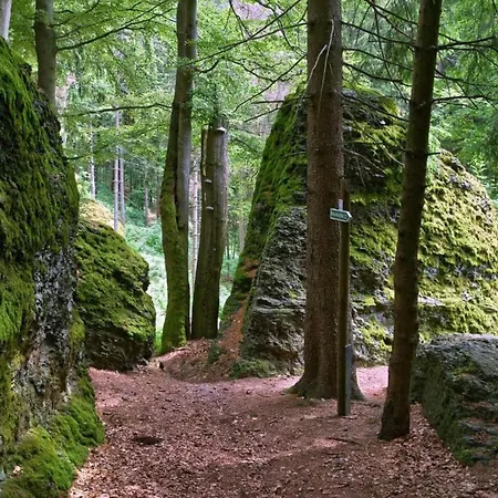 With Terrace Altenfeld (Thuringia)