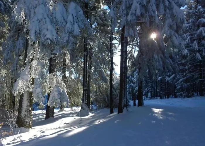 With Terrace Semesterbostad Altenfeld (Thuringia)