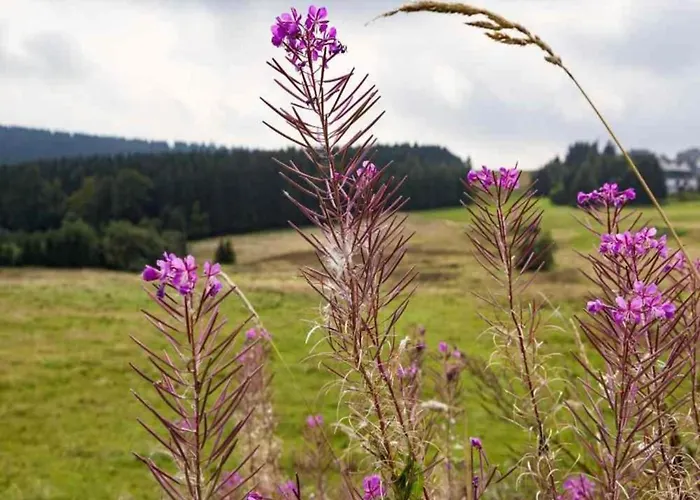 With Terrace Altenfeld (Thuringia)