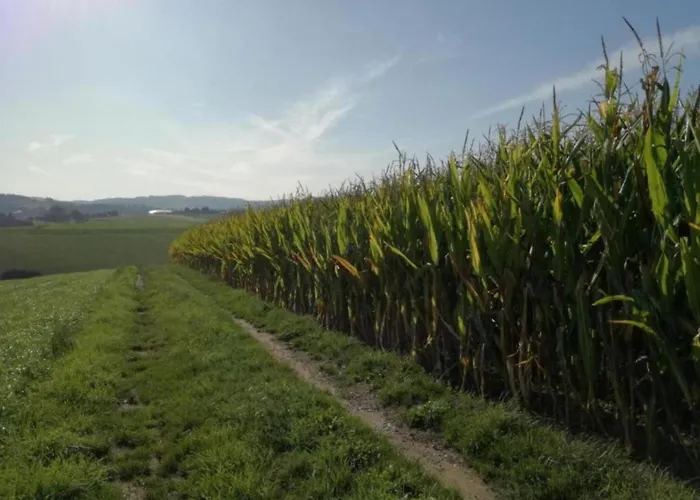 With Terrace Σπίτι διακοπών *