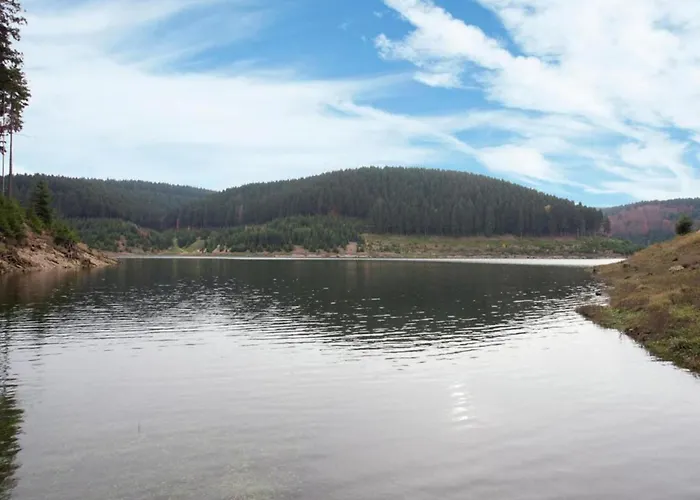 With Terrace Altenfeld (Thuringia)