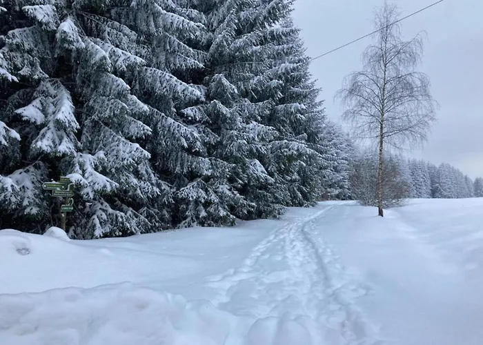 With Terrace Semesterbostad *