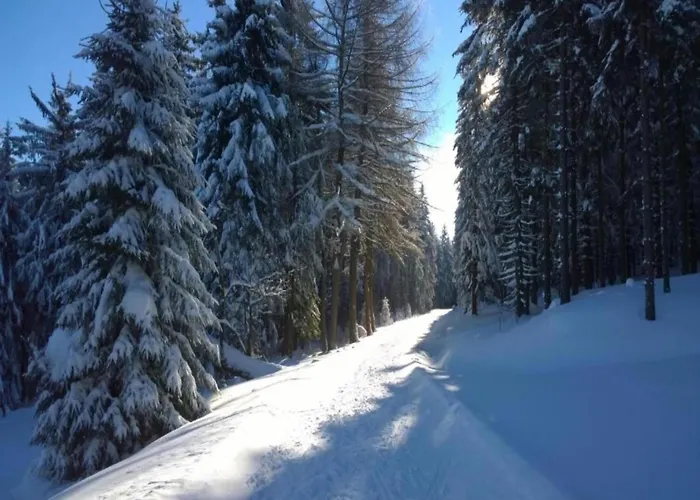 Semesterbostad With Terrace *