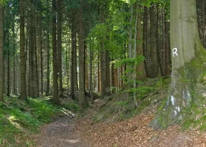 Semesterbostad With Terrace *