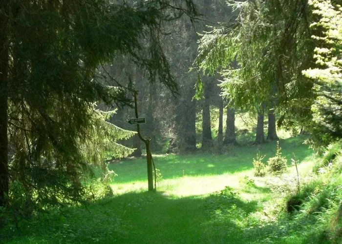 With Terrace Semesterbostad Altenfeld (Thuringia)