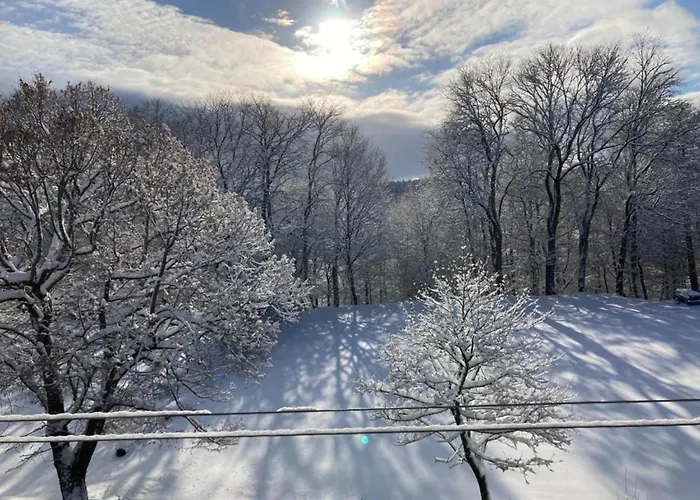 Σπίτι διακοπών With Terrace Altenfeld (Thuringia)