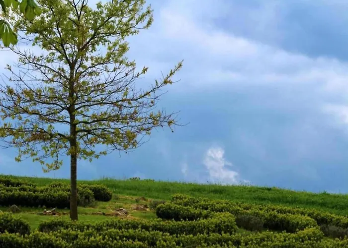 Semesterbostad With Terrace Altenfeld (Thuringia)