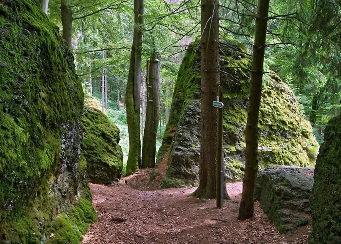 With Terrace Altenfeld (Thuringia)